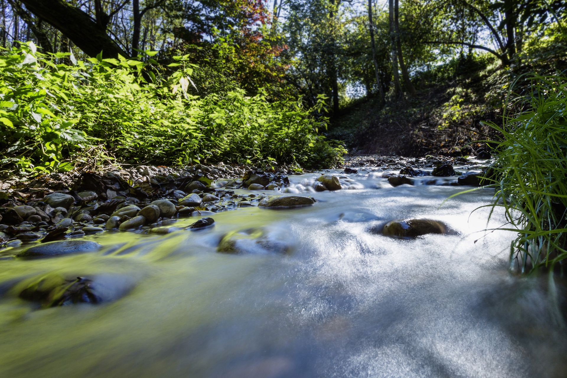 <b>Trinkwasser</b> aus <br>Radolfzeller Quellen